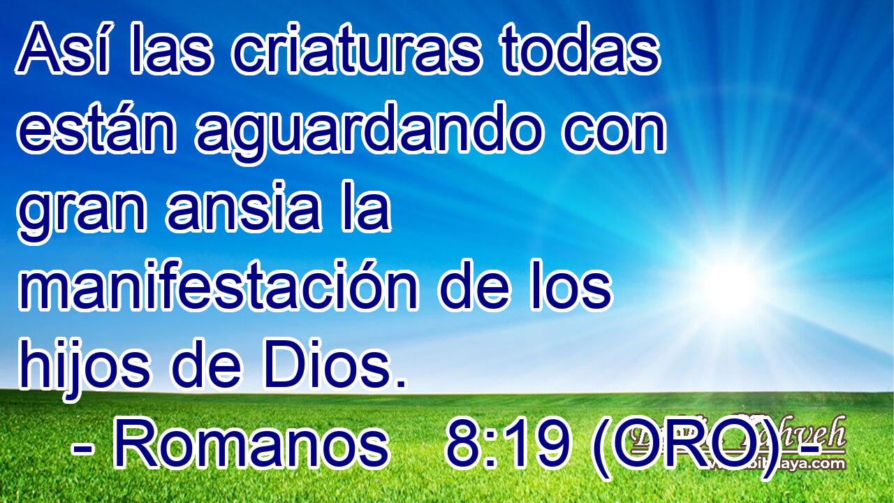  Así las criaturas todas están aguardando con gran ansia la manifestación de los hijos de Dios. 