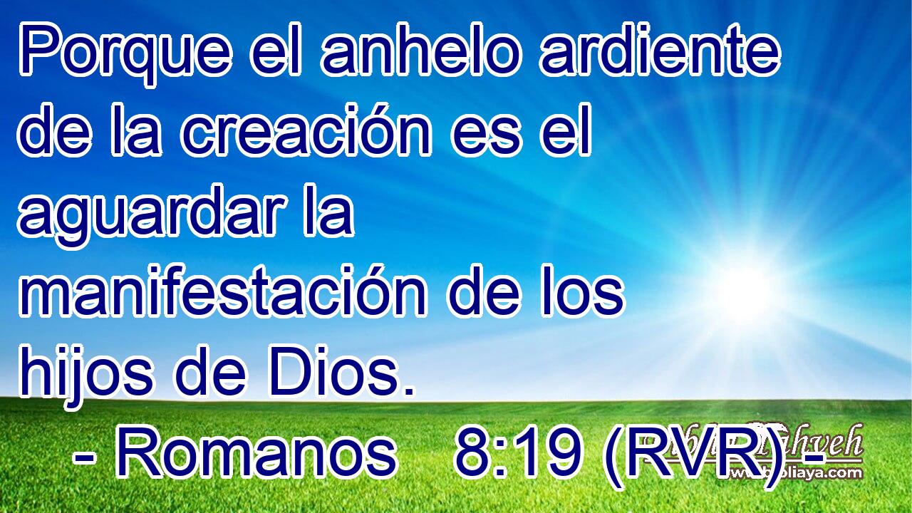 Porque el anhelo ardiente de la creación es el aguardar la manifestación de los hijos de Dios.