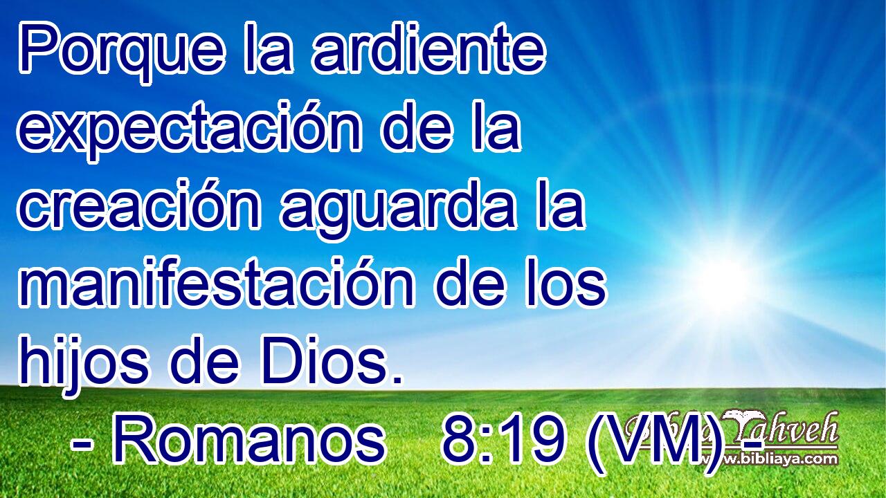  Porque la ardiente expectación de la creación aguarda la manifestación de los hijos de Dios. 