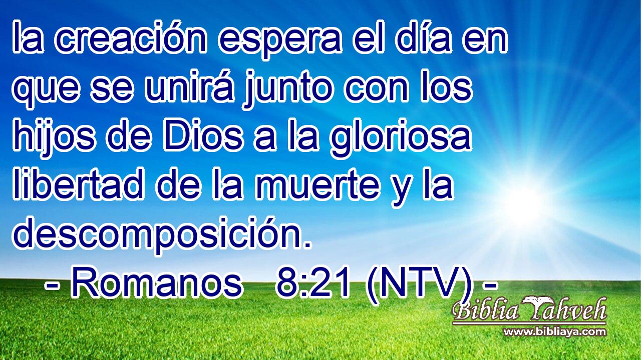 la creación espera el día en que se unirá junto con los hijos de Dios a la gloriosa libertad de la muerte y la descomposición.