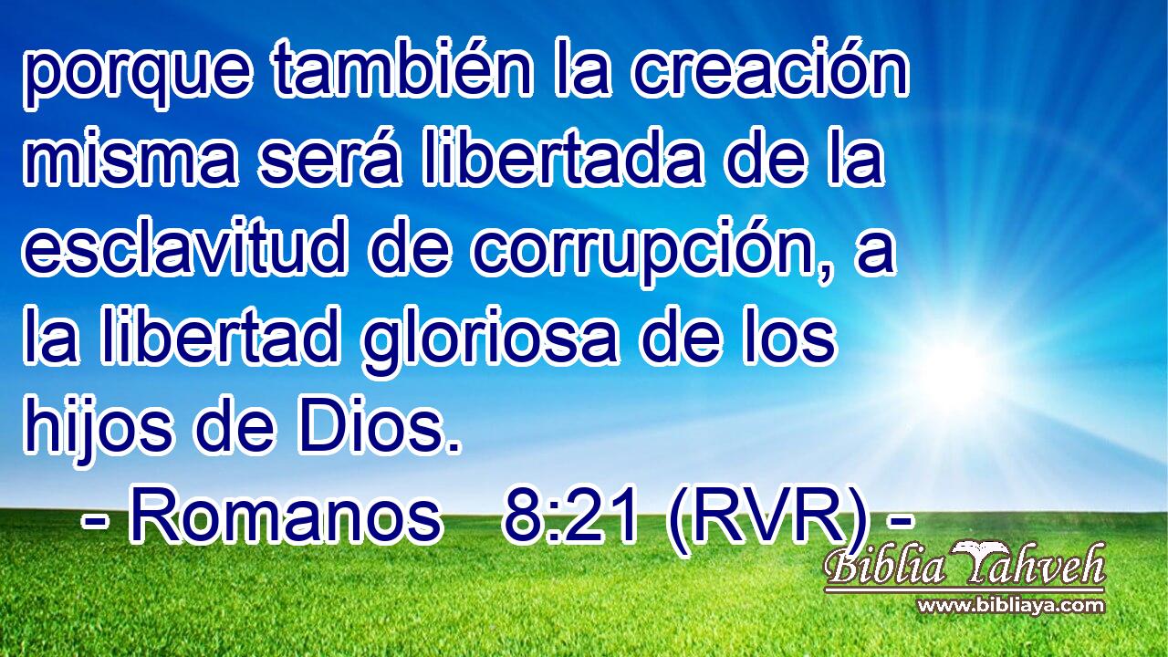porque también la creación misma será libertada de la esclavitud de corrupción, a la libertad gloriosa de los hijos de Dios.