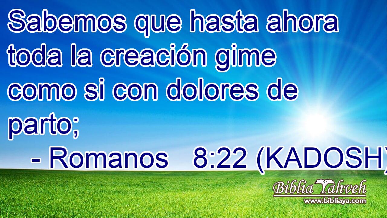  Sabemos que hasta ahora toda la creación gime como si con dolores de parto; 