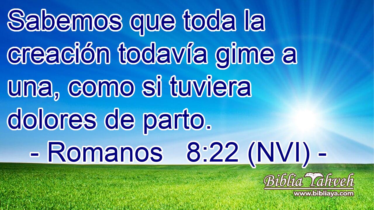  Sabemos que toda la creación todavía gime a una, como si tuviera dolores de parto. 