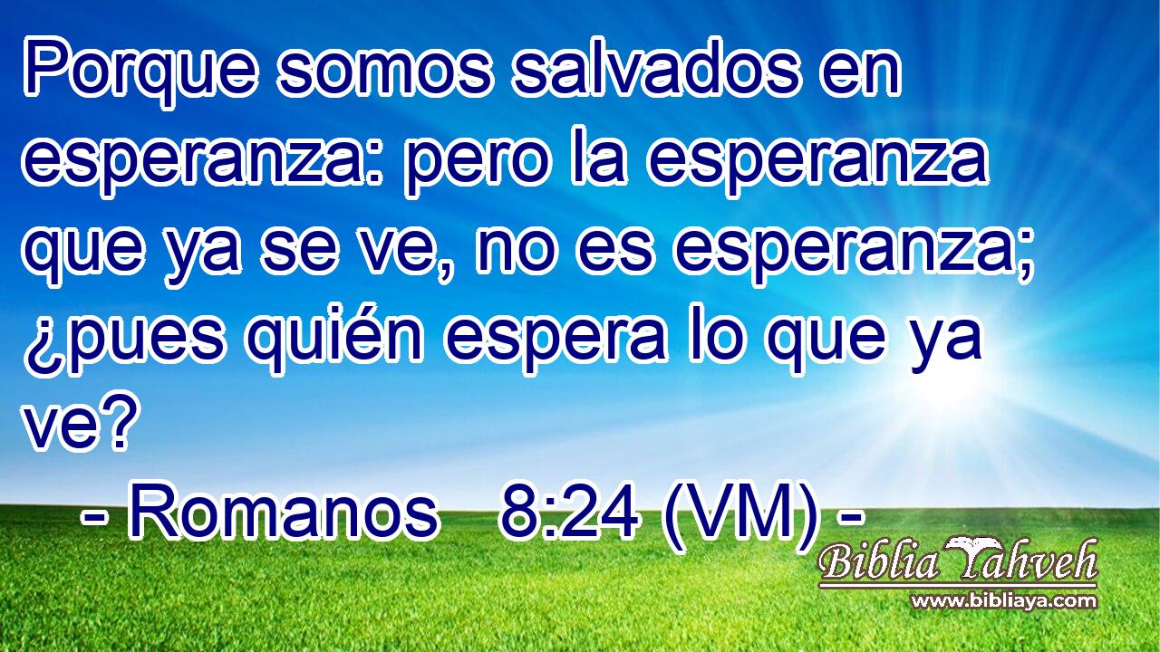  Porque somos salvados en esperanza: pero la esperanza que ya se ve, no es esperanza; ¿pues quién espera lo que ya ve? 