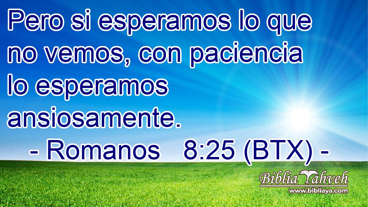 Pero si esperamos lo que no vemos, con paciencia lo esperamos ansiosamente.