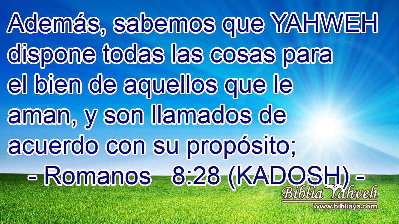 Además, sabemos que YAHWEH dispone todas las cosas para el bien de aquellos que le aman, y son llamados de acuerdo con su propósito; 