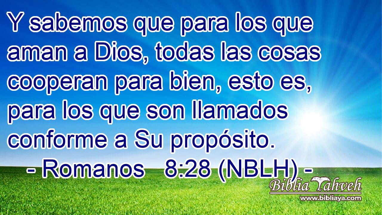  Y sabemos que para los que aman a Dios, todas las cosas cooperan para bien, esto es, para los que son llamados conforme a Su propósito. 