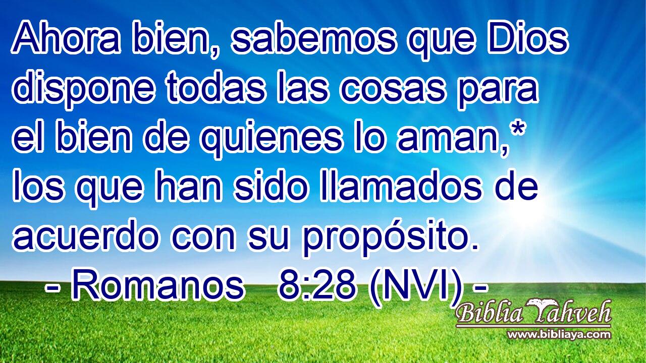  Ahora bien, sabemos que Dios dispone todas las cosas para el bien de quienes lo aman,* los que han sido llamados de acuerdo con su propósito. 