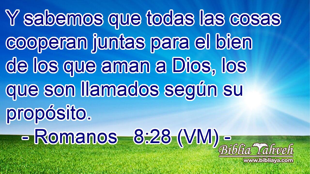  Y sabemos que todas las cosas cooperan juntas para el bien de los que aman a Dios, los que son llamados según su propósito. 