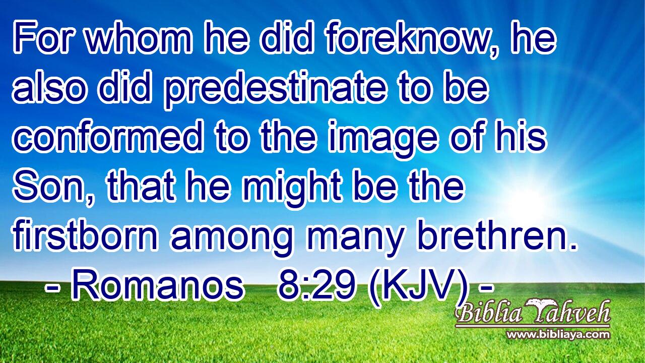 For whom he did foreknow, he also did predestinate to be conformed to the image of his Son, that he might be the firstborn among many brethren.