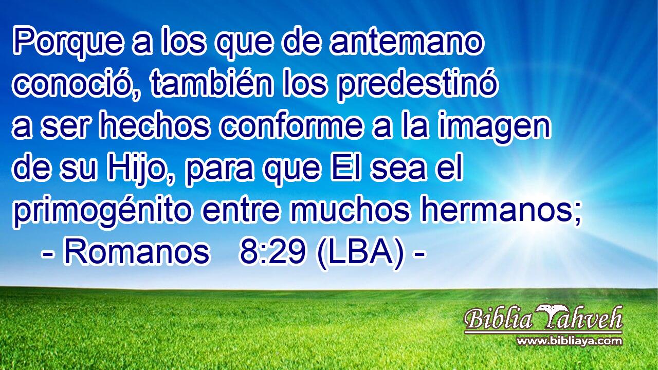 Porque a los que de antemano conoció, también los predestinó a ser hechos conforme a la imagen de su Hijo, para que El sea el primogénito entre muchos hermanos;
