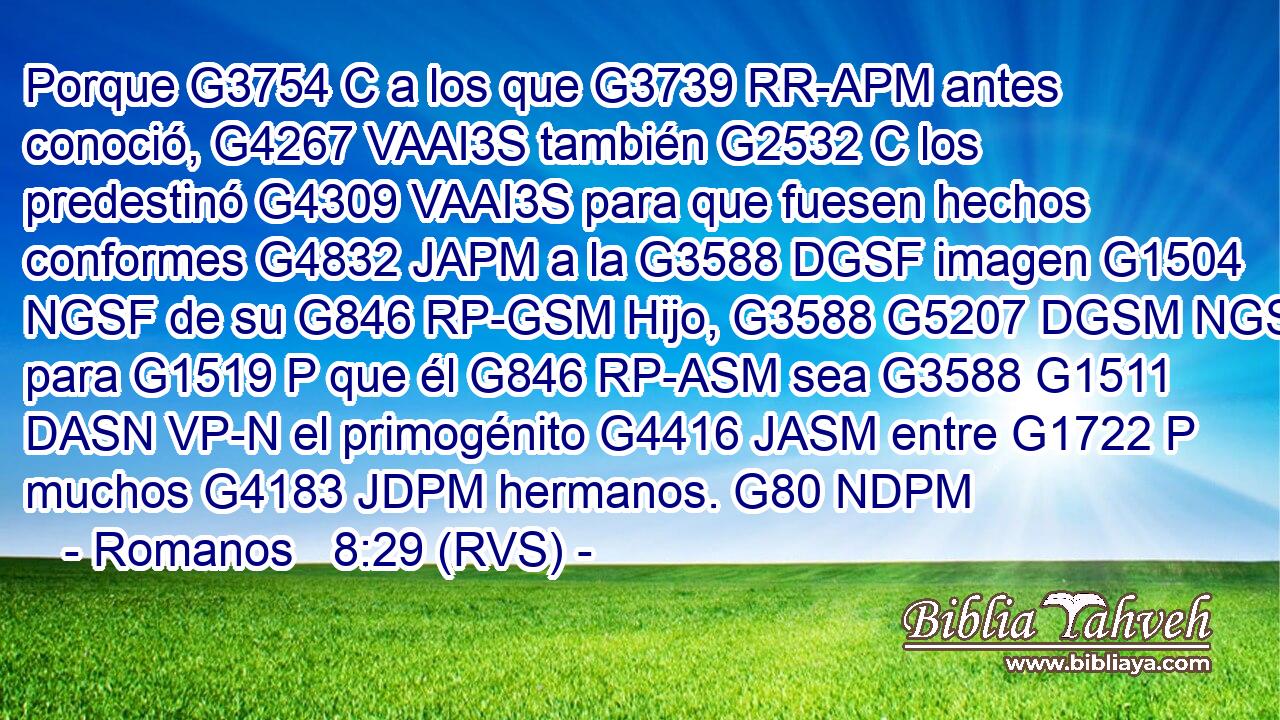Porque G3754 C a los que G3739 RR-APM antes conoció, G4267 VAAI3S también G2532 C los predestinó G4309 VAAI3S para que fuesen hechos conformes G4832 JAPM a la G3588 DGSF imagen G1504 NGSF de su G846 RP-GSM Hijo, G3588 G5207 DGSM NGSM para G1519 P que él G846 RP-ASM sea G3588 G1511 DASN VP-N el primogénito G4416 JASM entre G1722 P muchos G4183 JDPM hermanos. G80 NDPM 