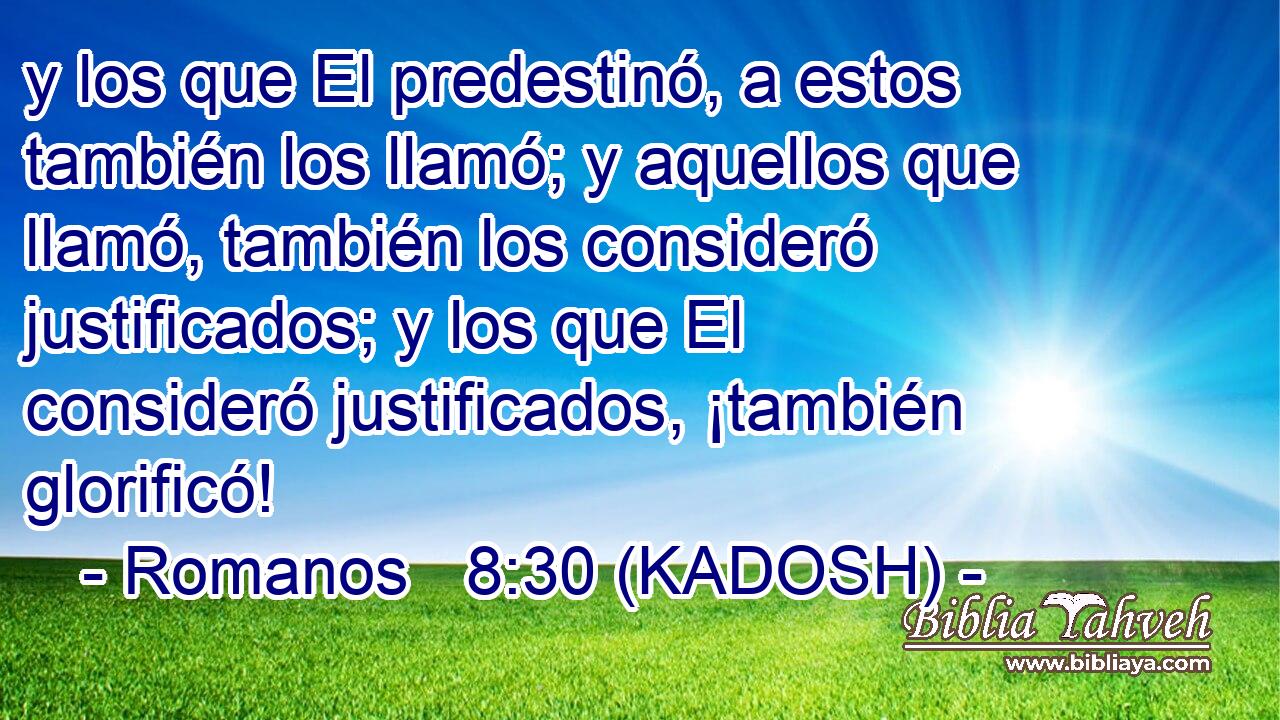  y los que El predestinó, a estos también los llamó; y aquellos que llamó, también los consideró justificados; y los que El consideró justificados, ¡también glorificó! 
