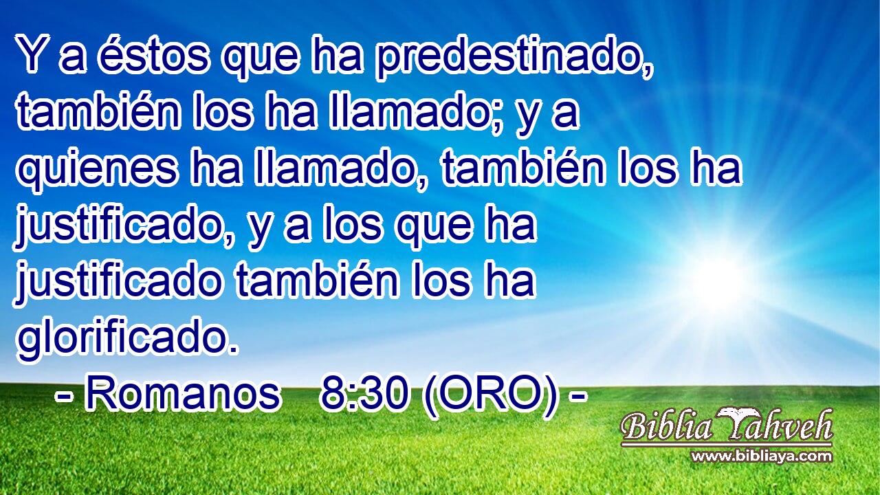  Y a éstos que ha predestinado, también los ha llamado; y a quienes ha llamado, también los ha justificado, y a los que ha justificado también los ha glorificado. 