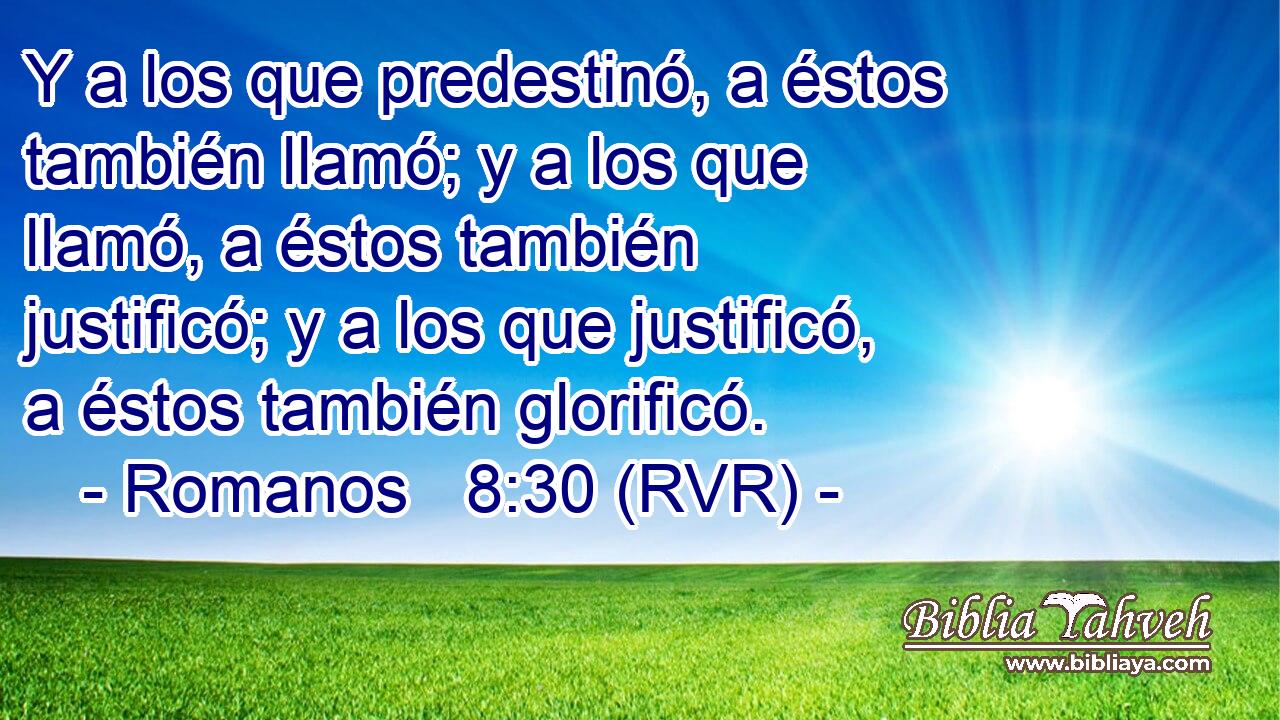 Y a los que predestinó, a éstos también llamó; y a los que llamó, a éstos también justificó; y a los que justificó, a éstos también glorificó.
