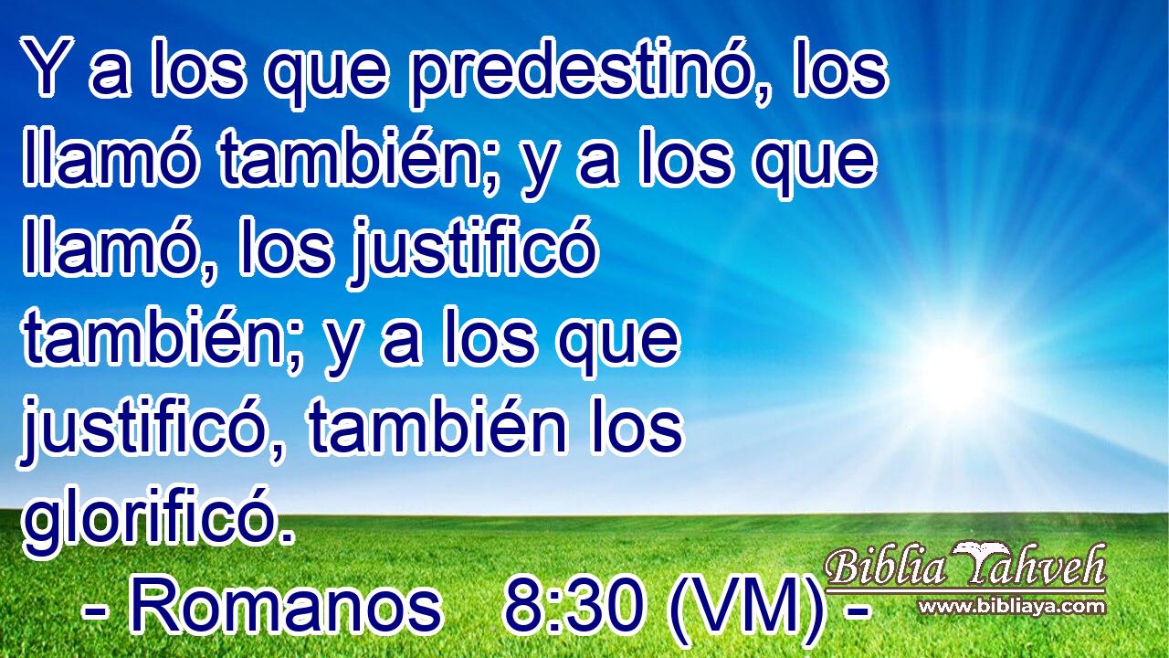  Y a los que predestinó, los llamó también; y a los que llamó, los justificó también; y a los que justificó, también los glorificó. 