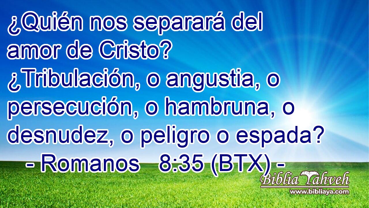 ¿Quién nos separará del amor de Cristo? ¿Tribulación, o angustia, o persecución, o hambruna, o desnudez, o peligro o espada?