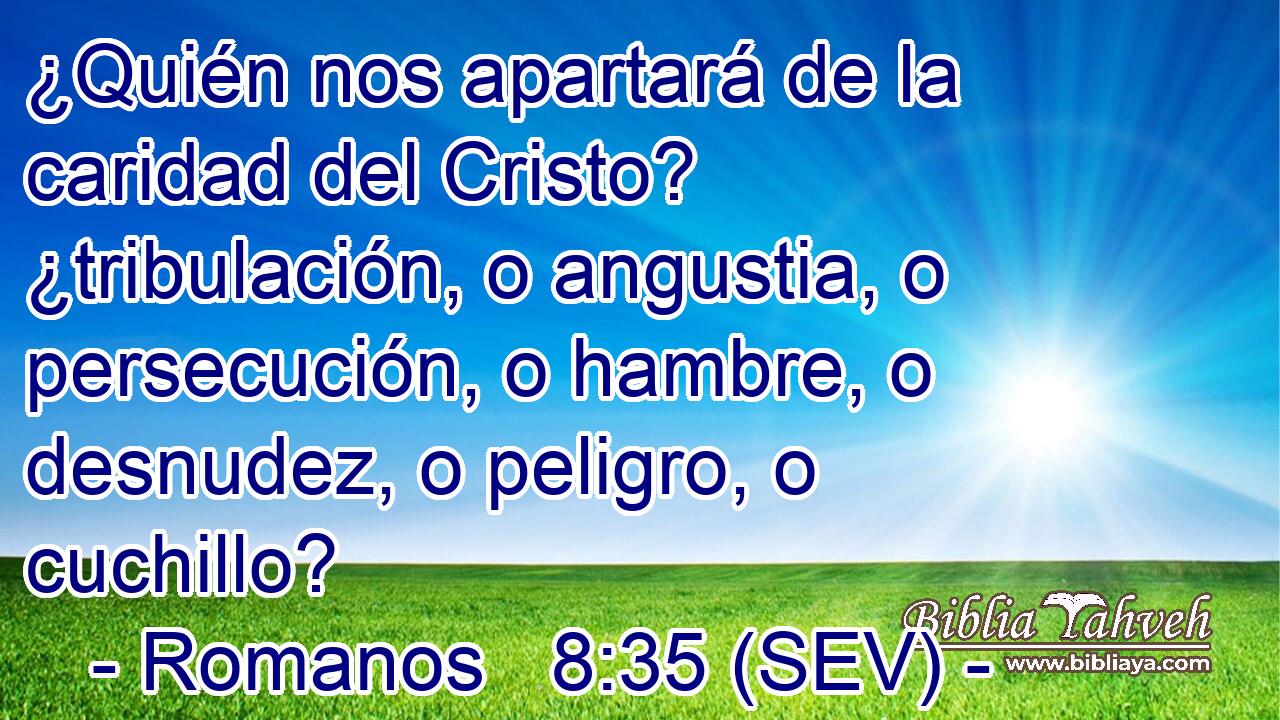 ¿Quién nos apartará de la caridad del Cristo? ¿tribulación, o angustia, o persecución, o hambre, o desnudez, o peligro, o cuchillo?