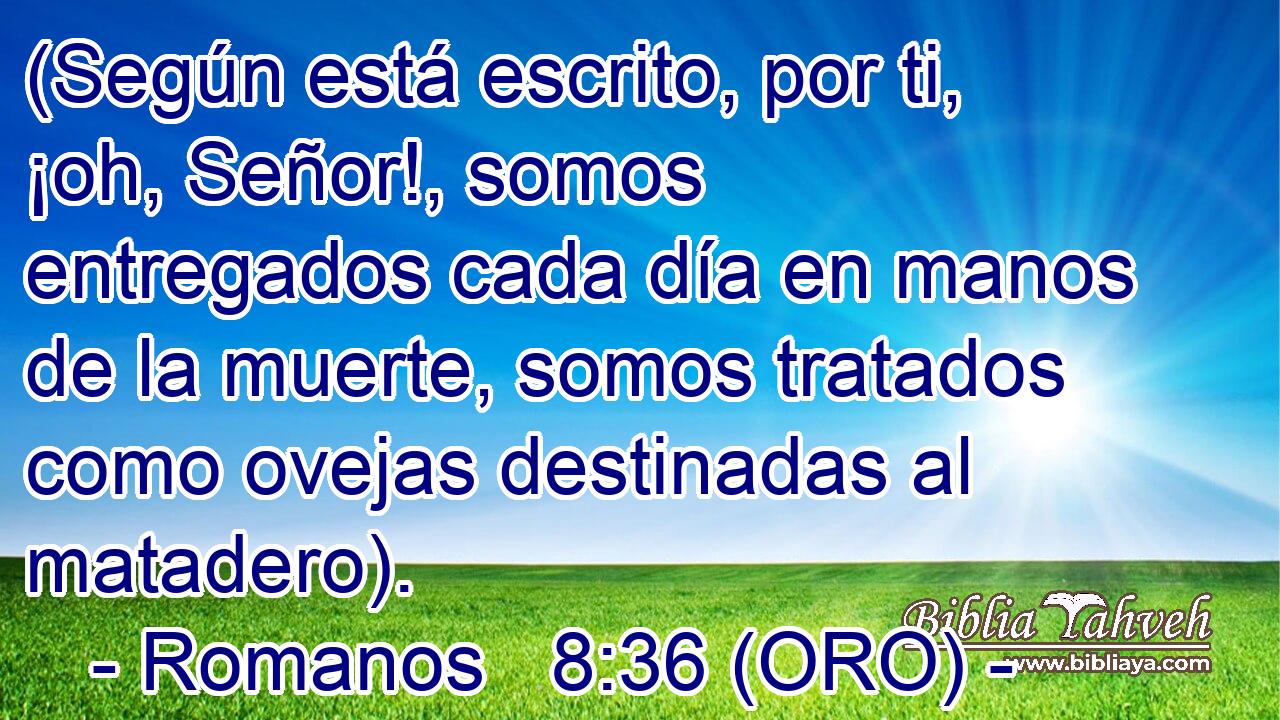  (Según está escrito, por ti, ¡oh, Señor!, somos entregados cada día en manos de la muerte, somos tratados como ovejas destinadas al matadero). 
