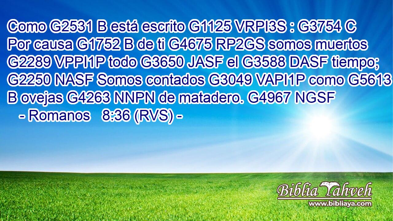 Como G2531 B está escrito G1125 VRPI3S : G3754 C Por causa G1752 B de ti G4675 RP2GS somos muertos G2289 VPPI1P todo G3650 JASF el G3588 DASF tiempo; G2250 NASF Somos contados G3049 VAPI1P como G5613 B ovejas G4263 NNPN de matadero. G4967 NGSF 