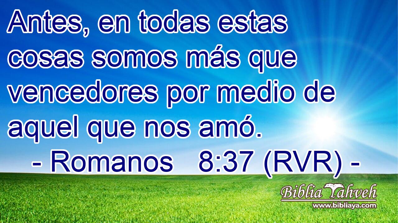 Antes, en todas estas cosas somos más que vencedores por medio de aquel que nos amó.