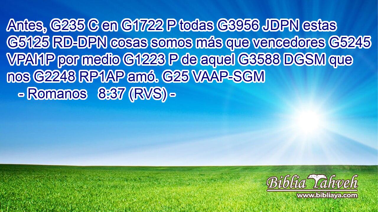 Antes, G235 C en G1722 P todas G3956 JDPN estas G5125 RD-DPN cosas somos más que vencedores G5245 VPAI1P por medio G1223 P de aquel G3588 DGSM que nos G2248 RP1AP amó. G25 VAAP-SGM 