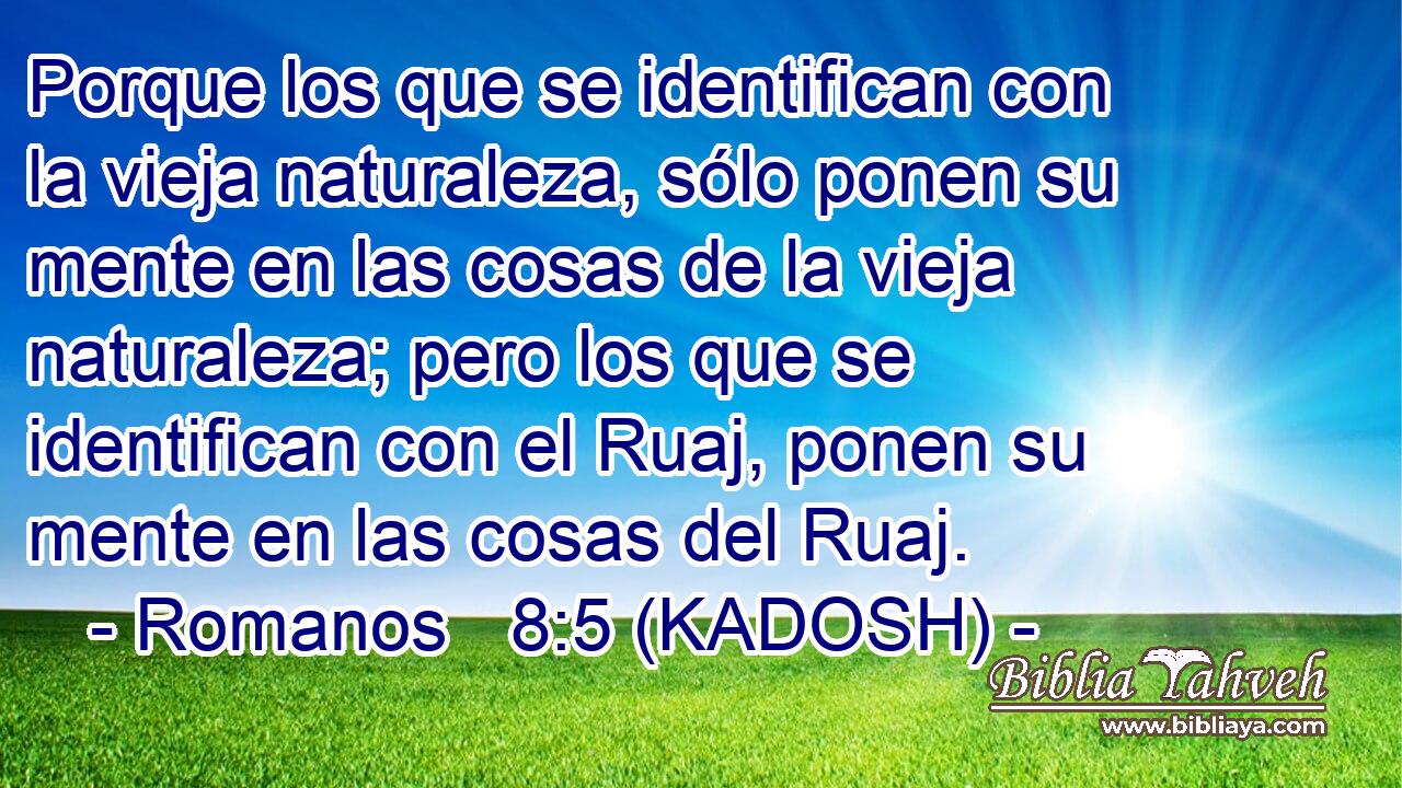  Porque los que se identifican con la vieja naturaleza, sólo ponen su mente en las cosas de la vieja naturaleza; pero los que se identifican con el Ruaj, ponen su mente en las cosas del Ruaj. 