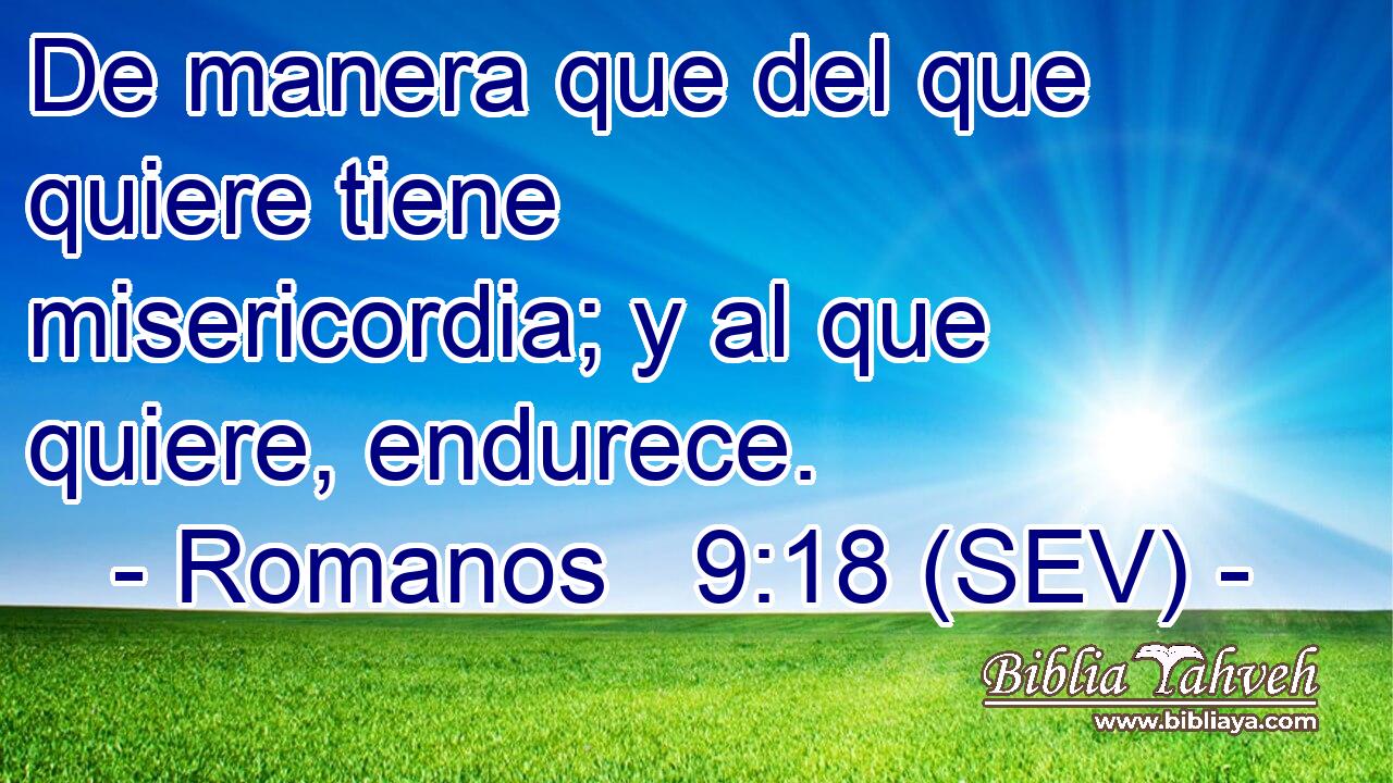 De manera que del que quiere tiene misericordia; y al que quiere, endurece.