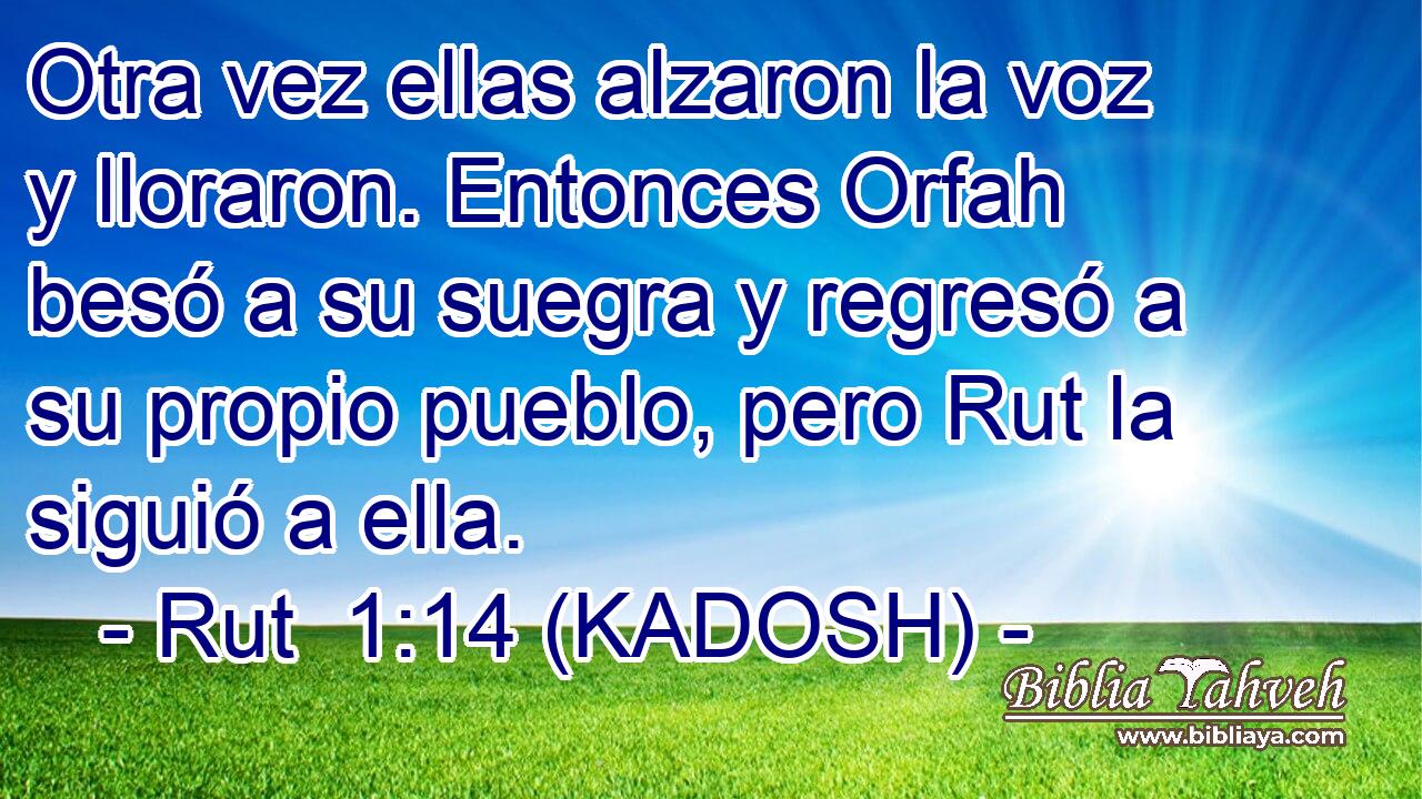  Otra vez ellas alzaron la voz y lloraron. Entonces Orfah besó a su suegra y regresó a su propio pueblo, pero Rut la siguió a ella. 