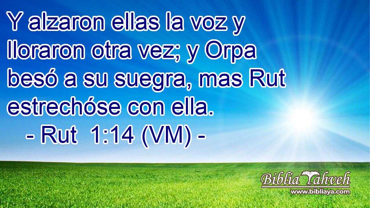  Y alzaron ellas la voz y lloraron otra vez; y Orpa besó a su suegra, mas Rut estrechóse con ella. 