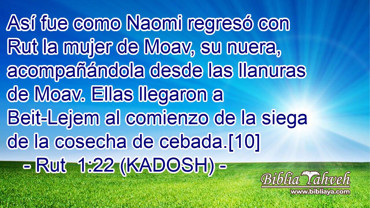  Así fue como Naomi regresó con Rut la mujer de Moav, su nuera, acompañándola desde las llanuras de Moav. Ellas llegaron a Beit-Lejem al comienzo de la siega de la cosecha de cebada.[10] 