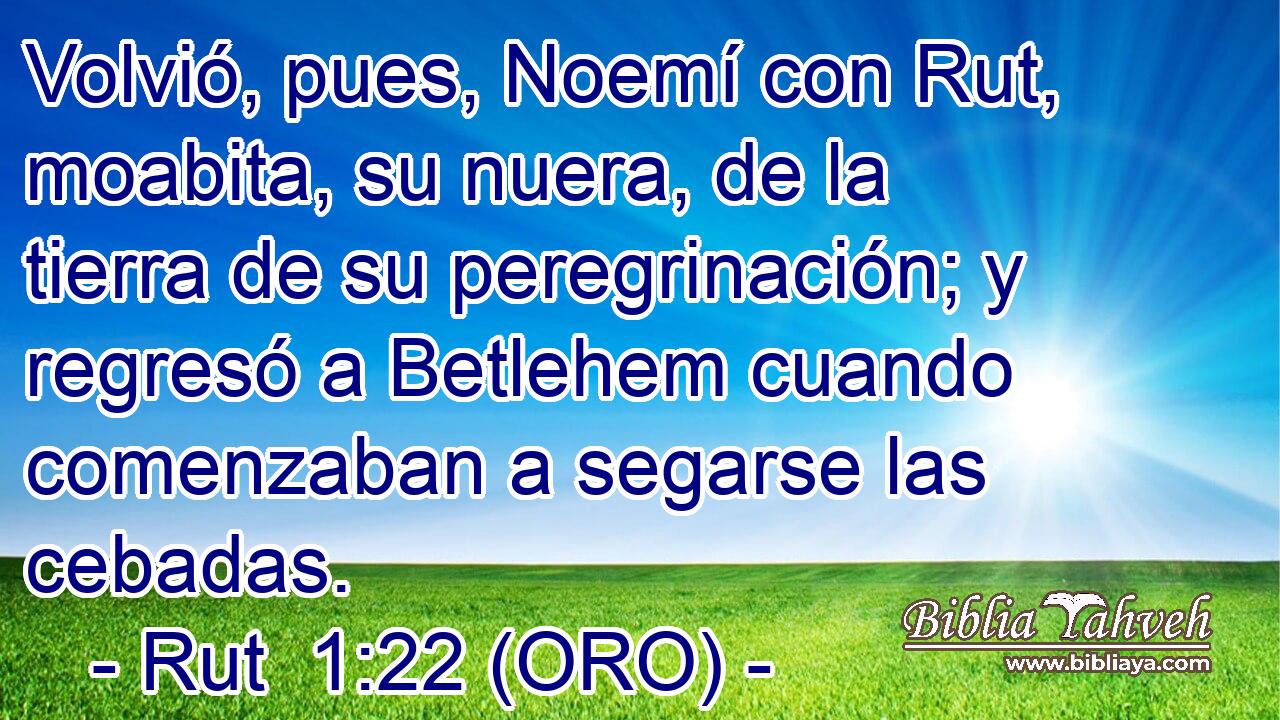  Volvió, pues, Noemí con Rut, moabita, su nuera, de la tierra de su peregrinación; y regresó a Betlehem cuando comenzaban a segarse las cebadas. 