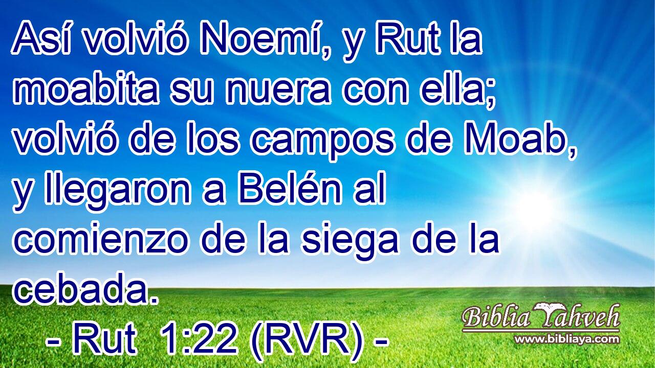 Así volvió Noemí, y Rut la moabita su nuera con ella; volvió de los campos de Moab, y llegaron a Belén al comienzo de la siega de la cebada.