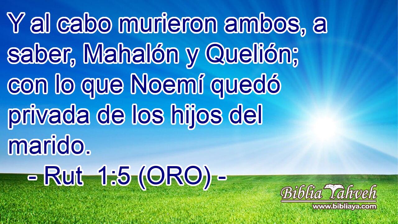  Y al cabo murieron ambos, a saber, Mahalón y Quelión; con lo que Noemí quedó privada de los hijos del marido. 