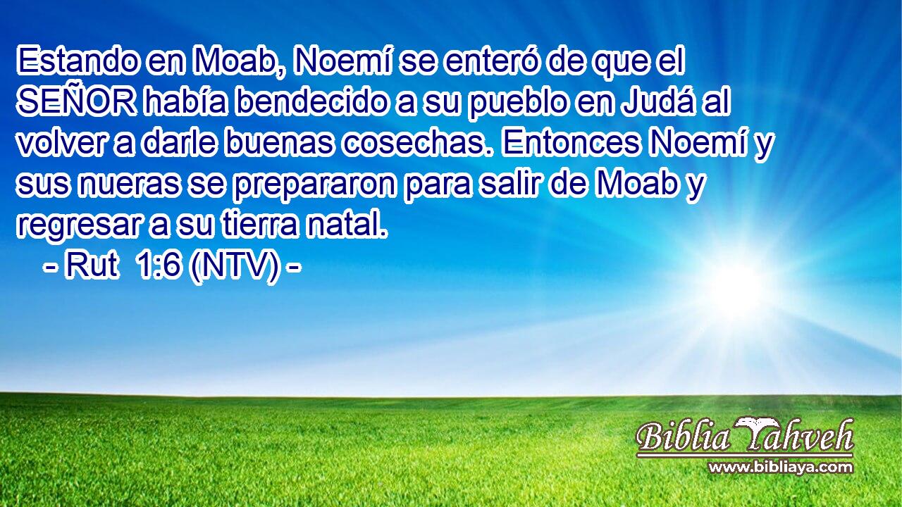 Estando en Moab, Noemí se enteró de que el SEÑOR había bendecido a su pueblo en Judá al volver a darle buenas cosechas. Entonces Noemí y sus nueras se prepararon para salir de Moab y regresar a su tierra natal.