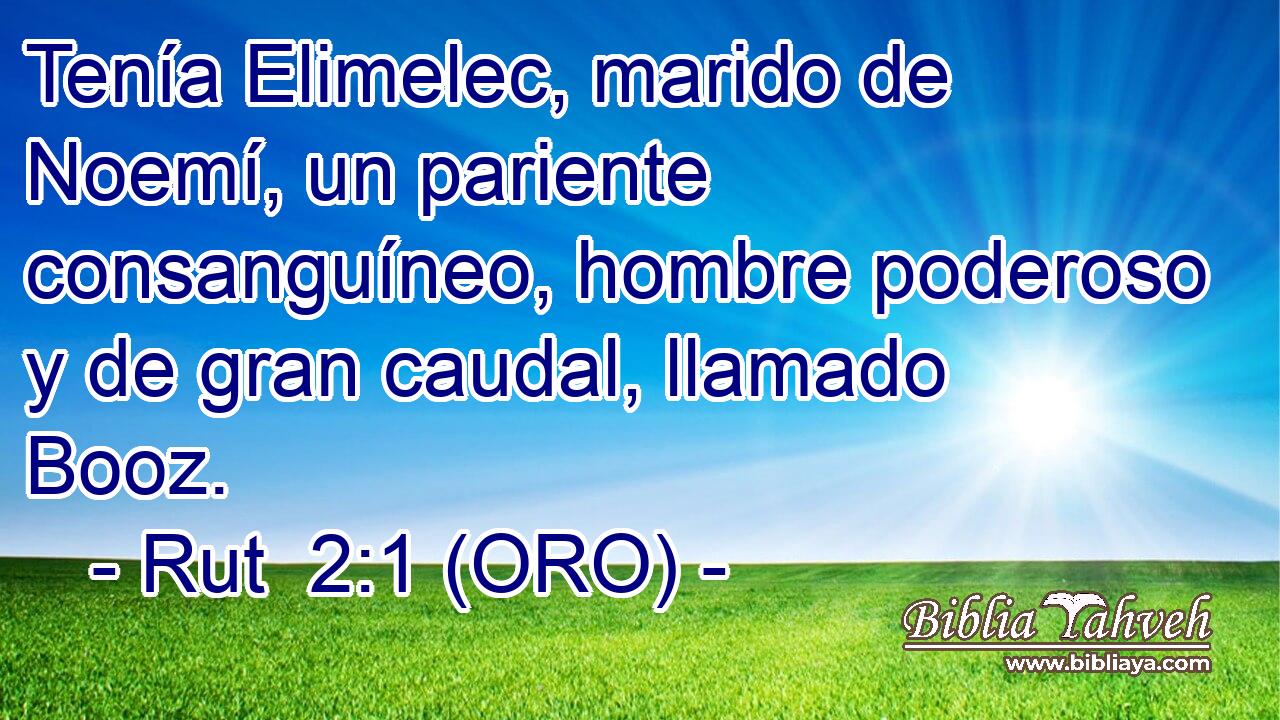  Tenía Elimelec, marido de Noemí, un pariente consanguíneo, hombre poderoso y de gran caudal, llamado Booz. 