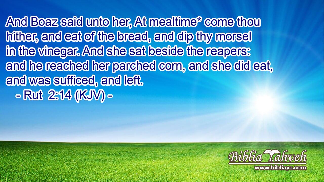 And Boaz said unto her, At mealtime* come thou hither, and eat of the bread, and dip thy morsel in the vinegar. And she sat beside the reapers: and he reached her parched corn, and she did eat, and was sufficed, and left.