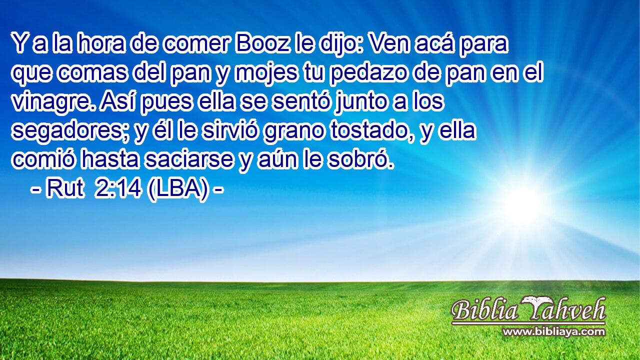 Y a la hora de comer Booz le dijo: Ven acá para que comas del pan y mojes tu pedazo de pan en el vinagre. Así pues ella se sentó junto a los segadores; y él le sirvió grano tostado, y ella comió hasta saciarse y aún le sobró.