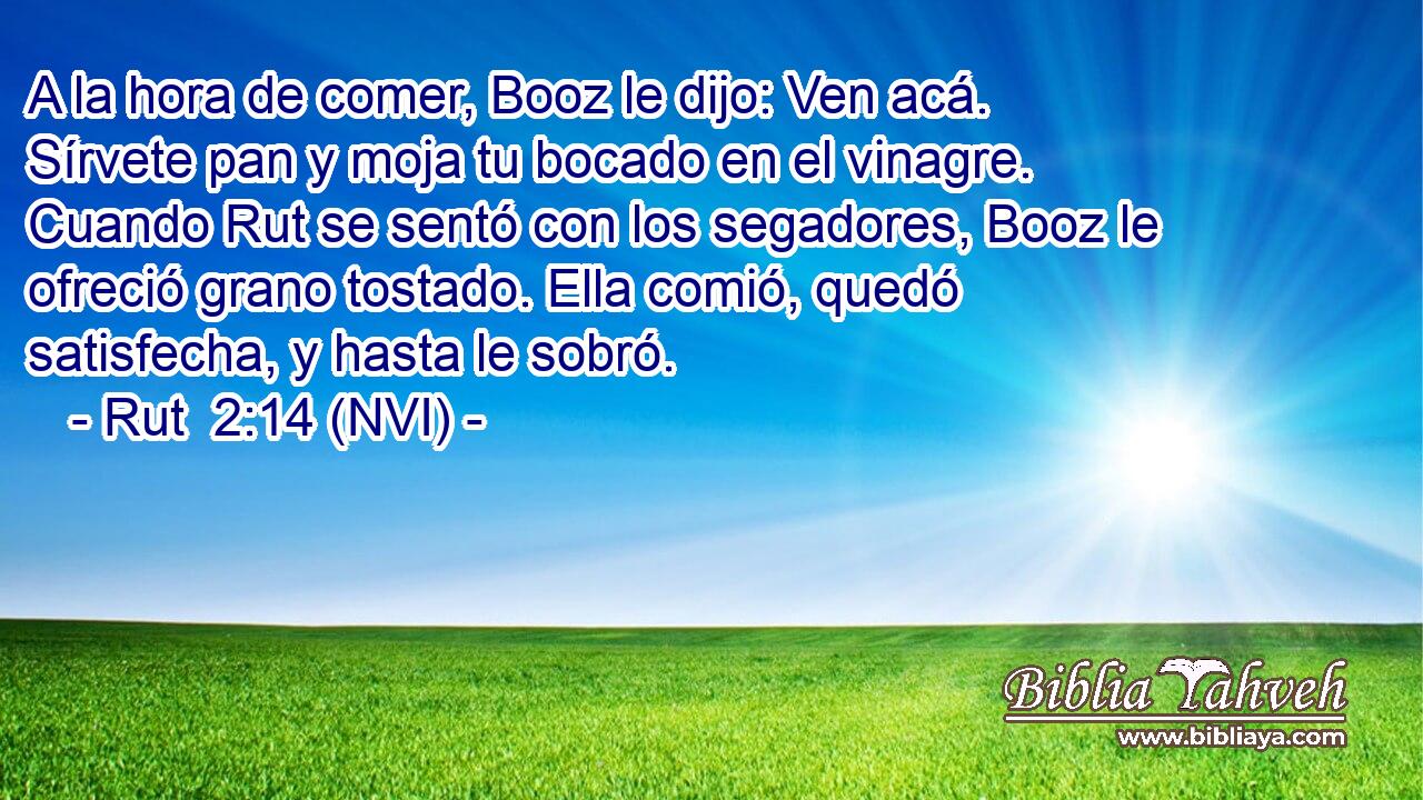  A la hora de comer, Booz le dijo: Ven acá. Sírvete pan y moja tu bocado en el vinagre. Cuando Rut se sentó con los segadores, Booz le ofreció grano tostado. Ella comió, quedó satisfecha, y hasta le sobró. 