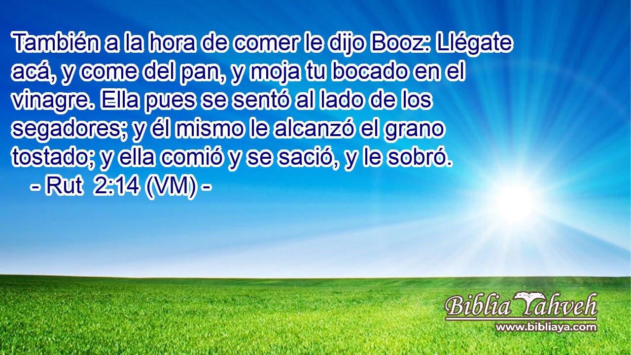  También a la hora de comer le dijo Booz: Llégate acá, y come del pan, y moja tu bocado en el vinagre. Ella pues se sentó al lado de los segadores; y él mismo le alcanzó el grano tostado; y ella comió y se sació, y le sobró. 
