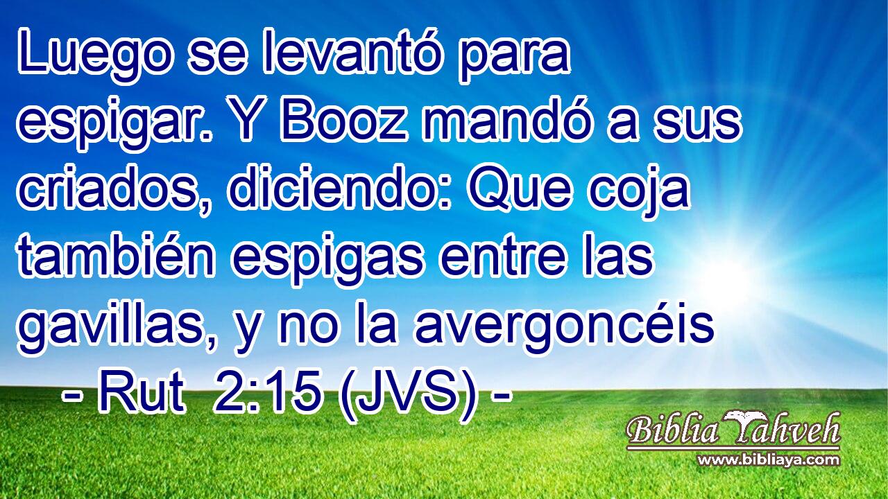 Luego se levantó para espigar. Y Booz mandó a sus criados, diciendo: Que coja también espigas entre las gavillas, y no la avergoncéis