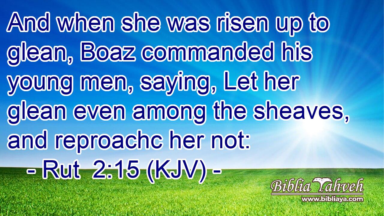 And when she was risen up to glean, Boaz commanded his young men, saying, Let her glean even among the sheaves, and reproachc her not: