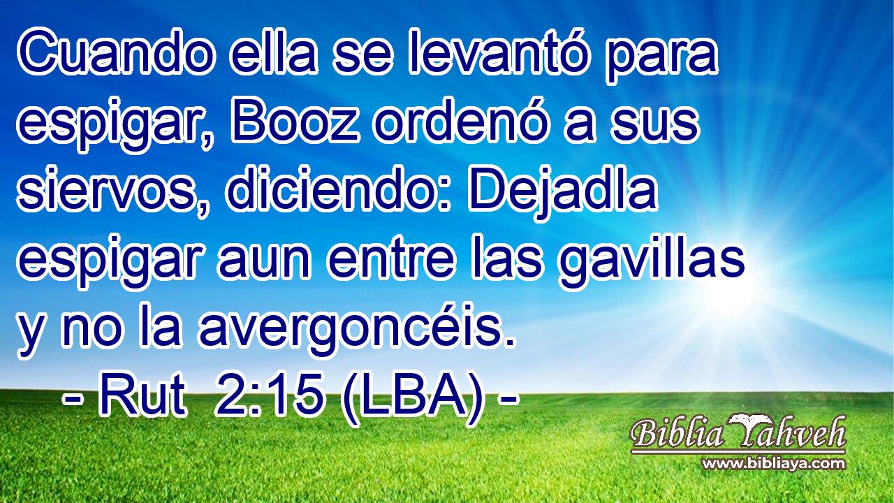 Cuando ella se levantó para espigar, Booz ordenó a sus siervos, diciendo: Dejadla espigar aun entre las gavillas y no la avergoncéis.