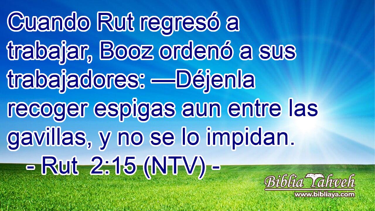 Cuando Rut regresó a trabajar, Booz ordenó a sus trabajadores: —Déjenla recoger espigas aun entre las gavillas, y no se lo impidan.