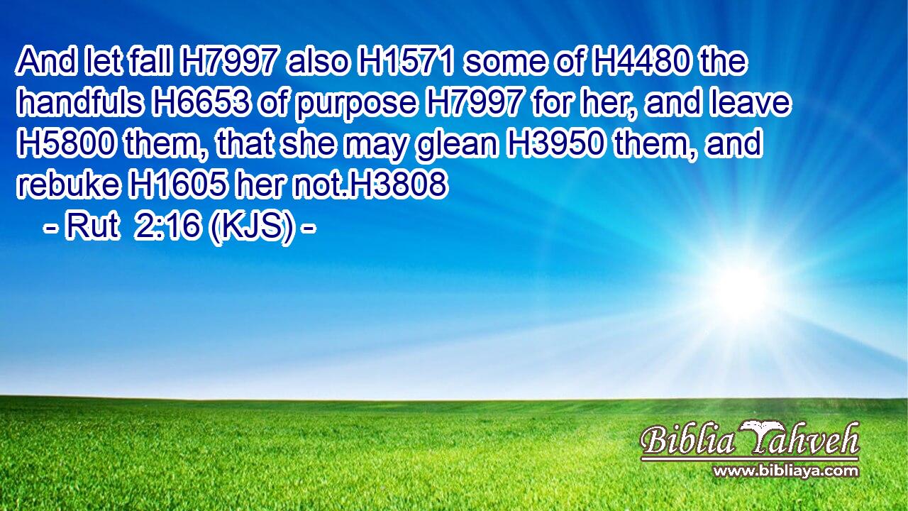 And let fall H7997 also H1571 some of H4480 the handfuls H6653 of purpose H7997 for her, and leave H5800 them, that she may glean H3950 them, and rebuke H1605 her not.H3808