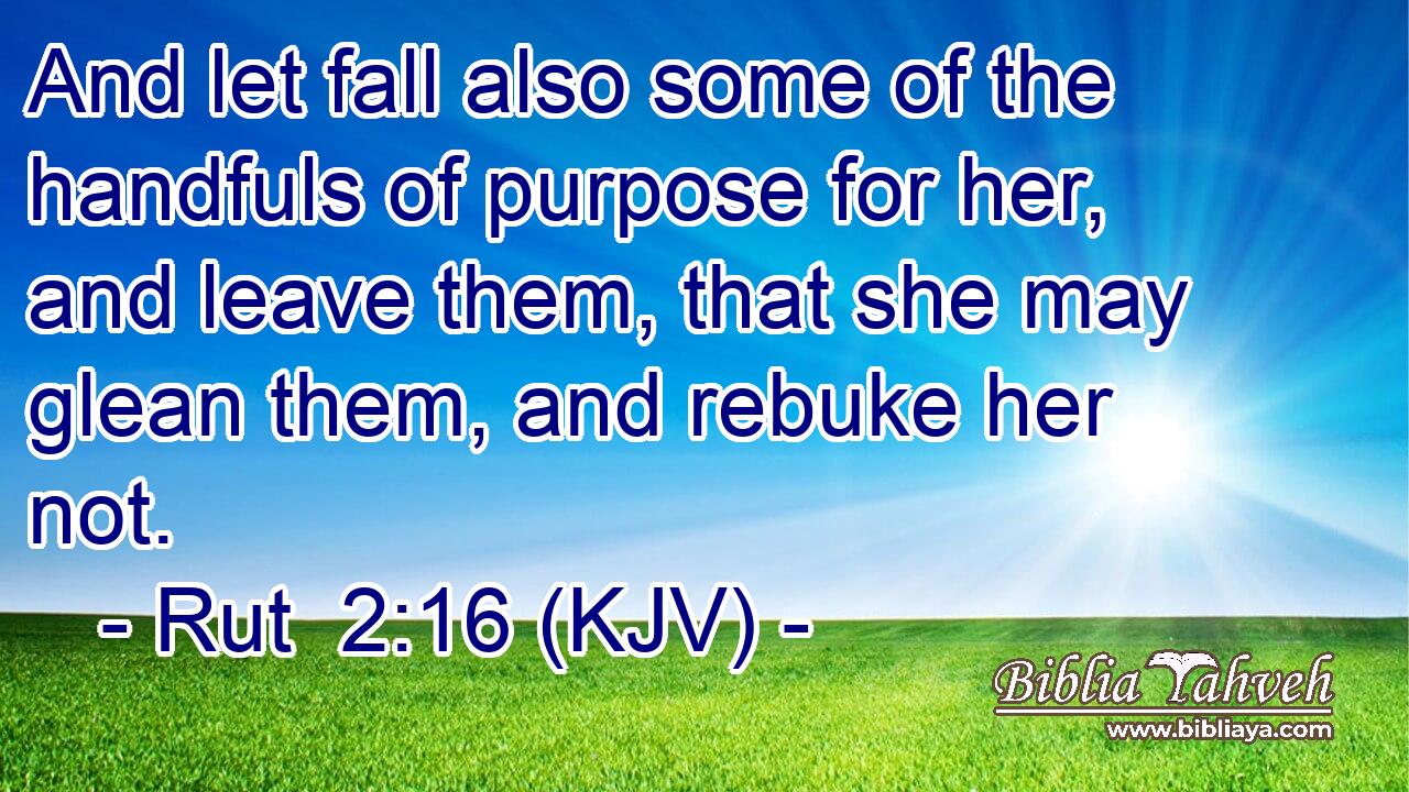 And let fall also some of the handfuls of purpose for her, and leave them, that she may glean them, and rebuke her not.