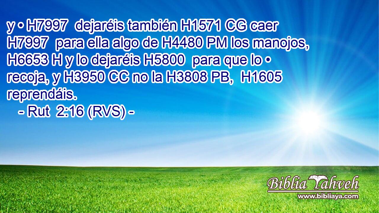 y • H7997  dejaréis también H1571 CG caer H7997  para ella algo de H4480 PM los manojos, H6653 H y lo dejaréis H5800  para que lo • recoja, y H3950 CC no la H3808 PB,  H1605 reprendáis. 