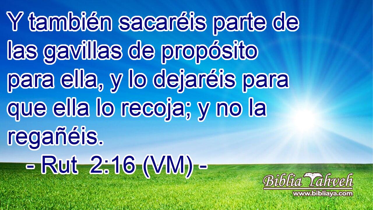  Y también sacaréis parte de las gavillas de propósito para ella, y lo dejaréis para que ella lo recoja; y no la regañéis. 