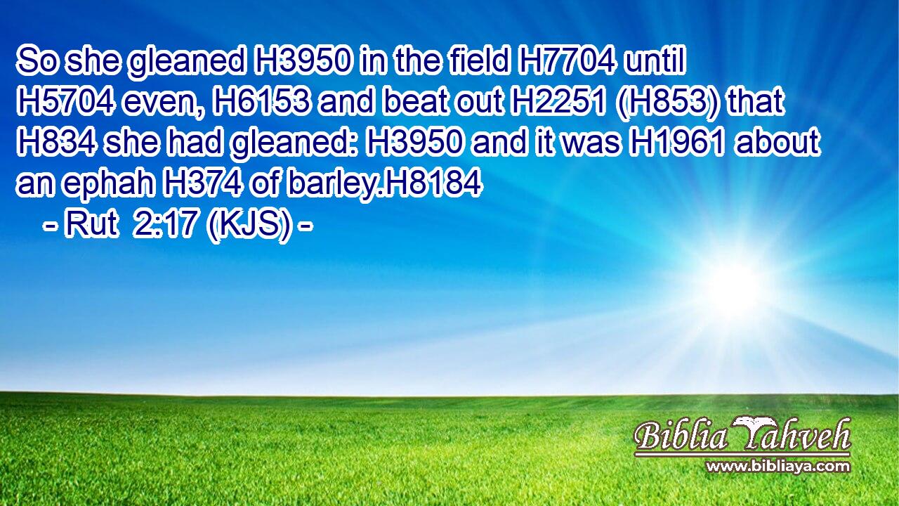 So she gleaned H3950 in the field H7704 until H5704 even, H6153 and beat out H2251 (H853) that H834 she had gleaned: H3950 and it was H1961 about an ephah H374 of barley.H8184