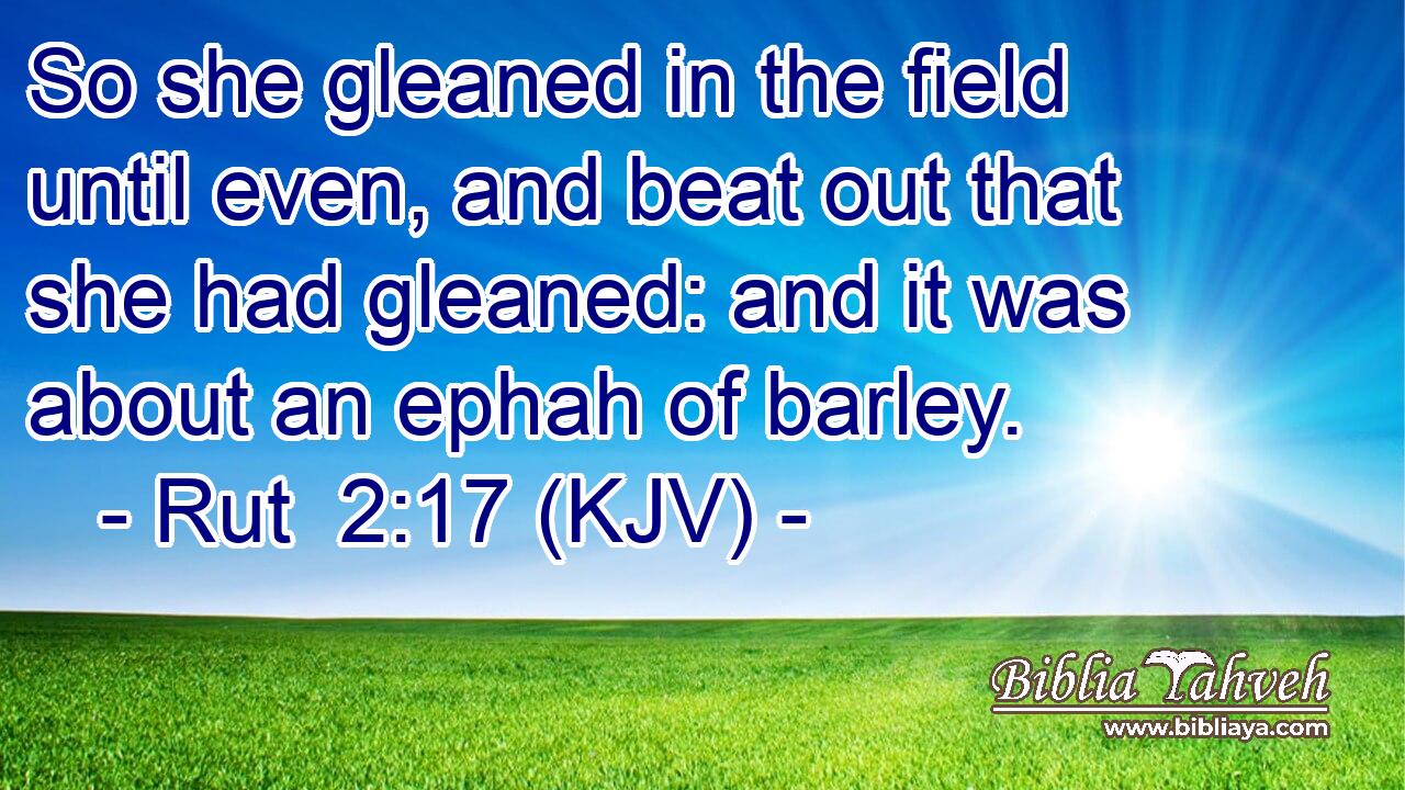 So she gleaned in the field until even, and beat out that she had gleaned: and it was about an ephah of barley.
